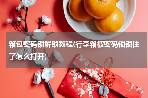 箱包密码锁解锁教程(行李箱被密码锁锁住了怎么打开)