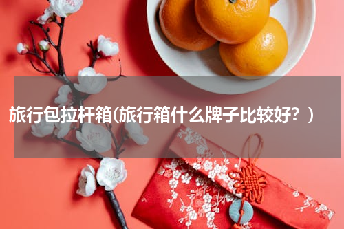 旅行包拉杆箱(旅行箱什么牌子比较好？)