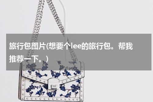 旅行包图片(想要个lee的旅行包。帮我推荐一下。)