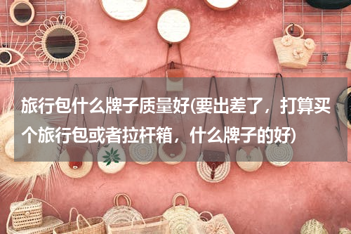 旅行包什么牌子质量好(要出差了，打算买个旅行包或者拉杆箱，什么牌子的好)