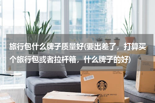 旅行包什么牌子质量好(要出差了，打算买个旅行包或者拉杆箱，什么牌子的好)