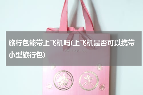 旅行包能带上飞机吗(上飞机是否可以携带小型旅行包)