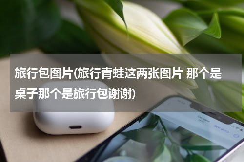 旅行包图片(旅行青蛙这两张图片 那个是桌子那个是旅行包谢谢)