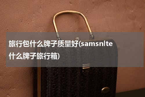 旅行包什么牌子质量好(samsnlte什么牌子旅行箱)