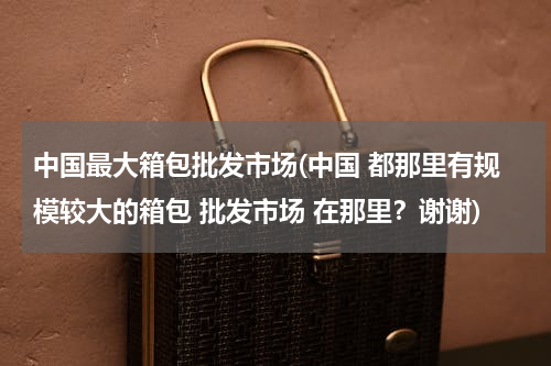 中国最大箱包批发市场(中国 都那里有规模较大的箱包 批发市场 在那里？谢谢)