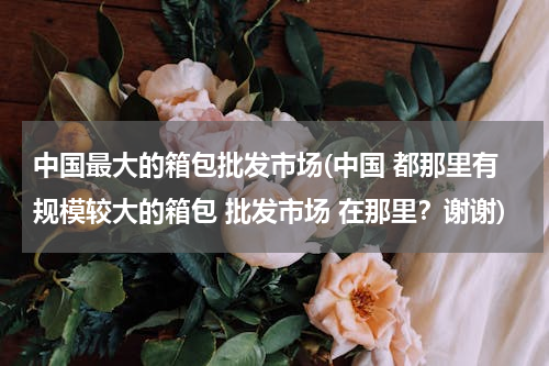 中国最大的箱包批发市场(中国 都那里有规模较大的箱包 批发市场 在那里？谢谢)