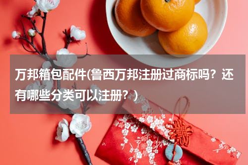 万邦箱包配件(鲁西万邦注册过商标吗？还有哪些分类可以注册？)