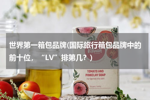 世界第一箱包品牌(国际旅行箱包品牌中的前十位，“LV”排第几？)
