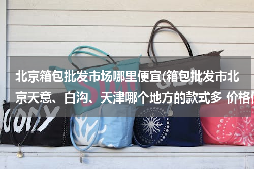 北京箱包批发市场哪里便宜(箱包批发市北京天意、白沟、天津哪个地方的款式多 价格便宜的)