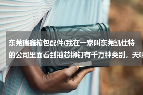 东莞瑞鑫箱包配件(我在一家叫东莞凯仕特的公司里面看到抽芯铆钉有千万种类别，天呐，有那么多吗，抽芯铆钉用途都是不是都是很广泛的？)