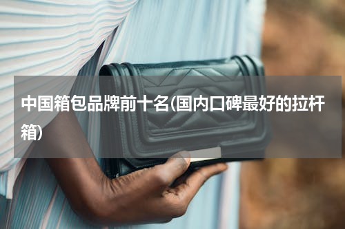 中国箱包品牌前十名(国内口碑最好的拉杆箱)