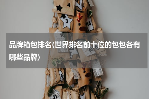 品牌箱包排名(世界排名前十位的包包各有哪些品牌)