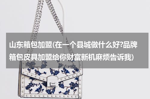 山东箱包加盟(在一个县城做什么好?品牌箱包皮具加盟给你财富新机麻烦告诉我)