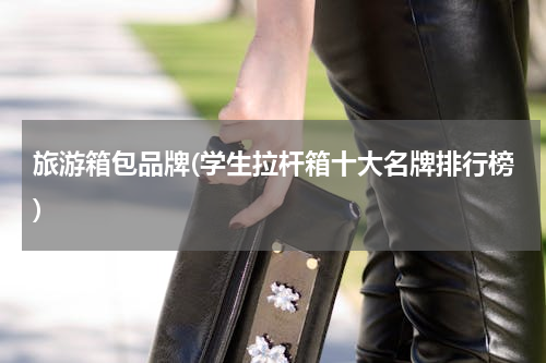 旅游箱包品牌(学生拉杆箱十大名牌排行榜)