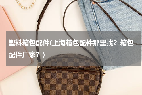 塑料箱包配件(上海箱包配件那里找？箱包配件厂家？)