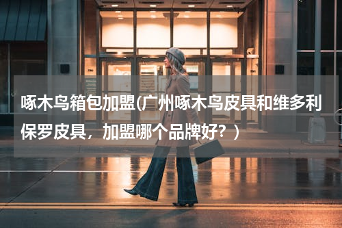 啄木鸟箱包加盟(广州啄木鸟皮具和维多利保罗皮具，加盟哪个品牌好？)