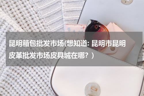 昆明箱包批发市场(想知道: 昆明市昆明皮革批发市场皮具城在哪？)