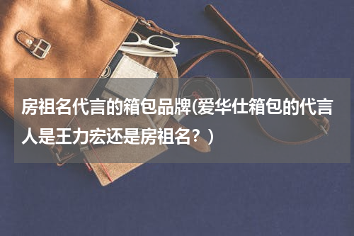 房祖名代言的箱包品牌(爱华仕箱包的代言人是王力宏还是房祖名？)