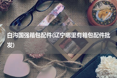 白沟国强箱包配件(辽宁哪里有箱包配件批发)