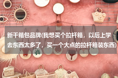 新干箱包品牌(我想买个拉杆箱，以后上学去东西太多了，买一个大点的拉杆箱装东西)