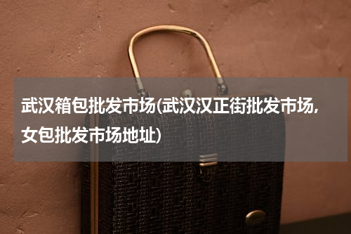 武汉箱包批发市场(武汉汉正街批发市场,女包批发市场地址)
