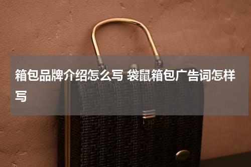 箱包品牌介绍怎么写 袋鼠箱包广告词怎样写