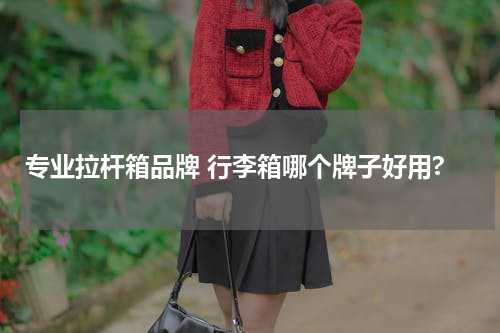专业拉杆箱品牌 行李箱哪个牌子好用?