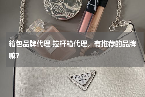 箱包品牌代理 拉杆箱代理，有推荐的品牌嘛？
