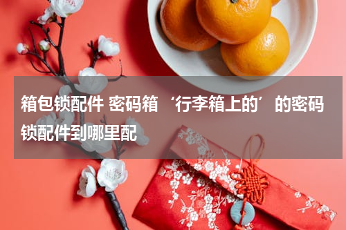 箱包锁配件 密码箱‘行李箱上的’的密码锁配件到哪里配
