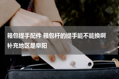 箱包提手配件 箱包杆的提手能不能换啊 补充地区是阜阳