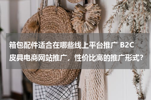 箱包配件适合在哪些线上平台推广 B2C皮具电商网站推广，性价比高的推广形式？