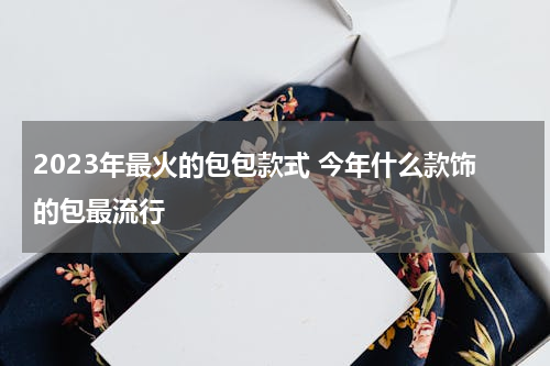 2023年最火的包包款式 今年什么款饰的包最流行
