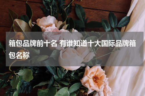 箱包品牌前十名 有谁知道十大国际品牌箱包名称