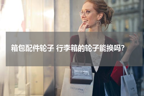 箱包配件轮子 行李箱的轮子能换吗？