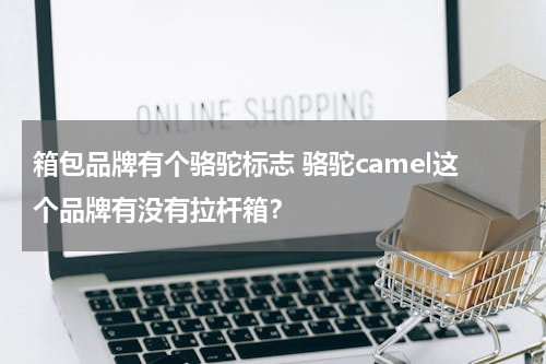 箱包品牌有个骆驼标志 骆驼camel这个品牌有没有拉杆箱？