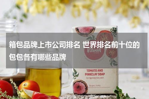 箱包品牌上市公司排名 世界排名前十位的包包各有哪些品牌