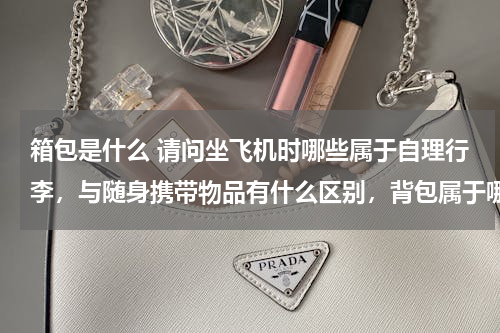 箱包是什么 请问坐飞机时哪些属于自理行李，与随身携带物品有什么区别，背包属于哪类。