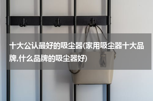 十大公认最好的吸尘器(家用吸尘器十大品牌,什么品牌的吸尘器好)