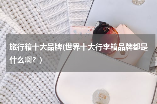 旅行箱十大品牌(世界十大行李箱品牌都是什么啊？)