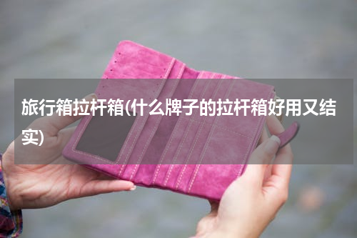 旅行箱拉杆箱(什么牌子的拉杆箱好用又结实)