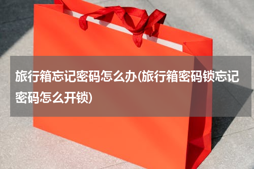 旅行箱忘记密码怎么办(旅行箱密码锁忘记密码怎么开锁)