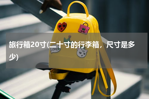 旅行箱20寸(二十寸的行李箱，尺寸是多少)