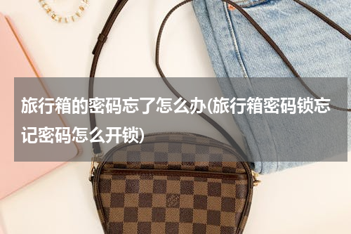 旅行箱的密码忘了怎么办(旅行箱密码锁忘记密码怎么开锁)