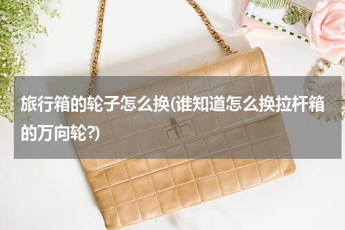 旅行箱的轮子怎么换(谁知道怎么换拉杆箱的万向轮?)