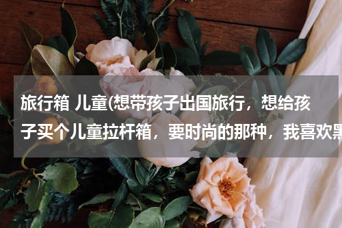 旅行箱 儿童(想带孩子出国旅行，想给孩子买个儿童拉杆箱，要时尚的那种，我喜欢黑色的。大家推荐一下？)