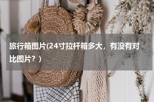 旅行箱图片(24寸拉杆箱多大，有没有对比图片？)
