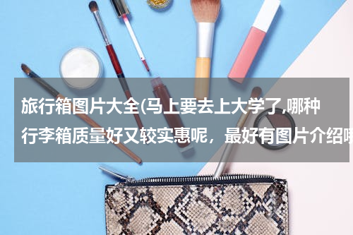 旅行箱图片大全(马上要去上大学了,哪种行李箱质量好又较实惠呢，最好有图片介绍哦，谢谢了)