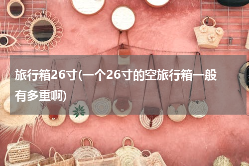 旅行箱26寸(一个26寸的空旅行箱一般有多重啊)