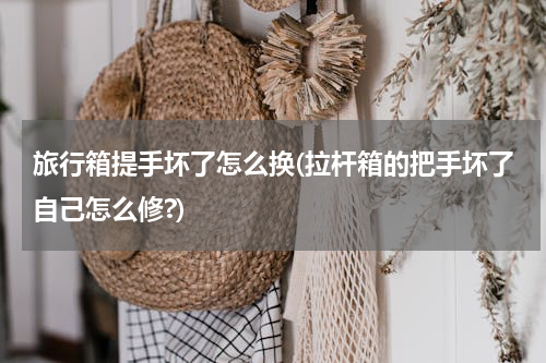 旅行箱提手坏了怎么换(拉杆箱的把手坏了自己怎么修?)
