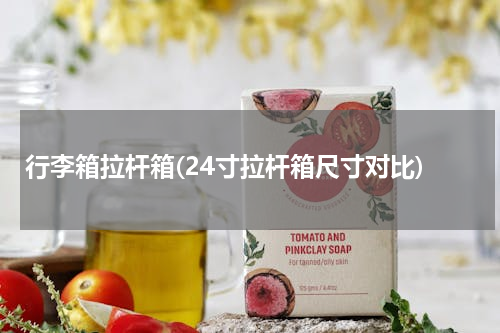 行李箱拉杆箱(24寸拉杆箱尺寸对比)